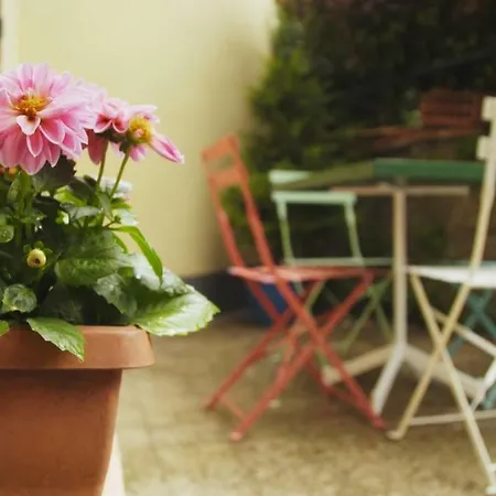 Il Borgo Divino Calamecca